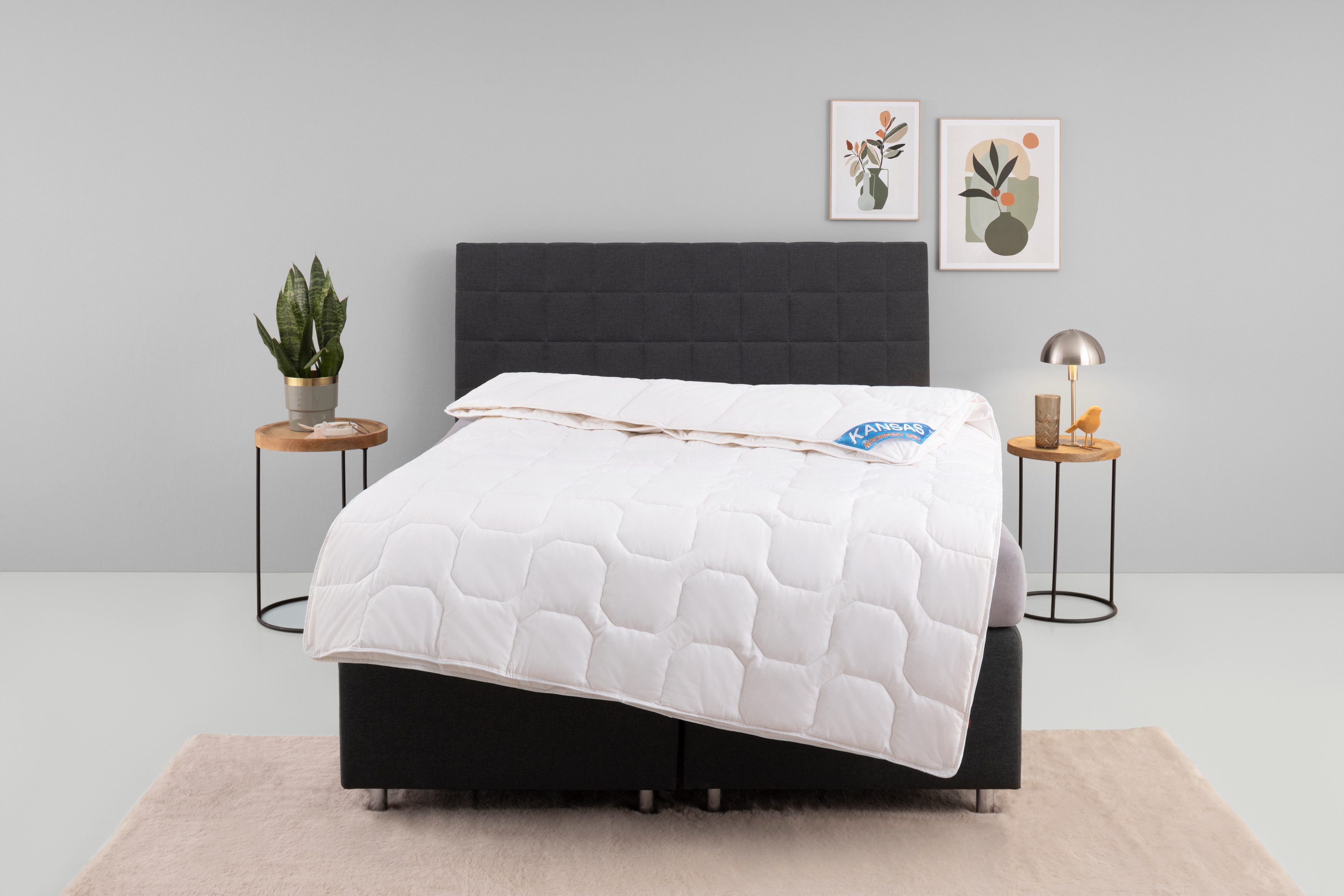 f.a.n. Frankenstolz Katoenen dekbed Kansas, Bettdecken für Sommer und Winter, Decke Dekbed 135 x 200 cm, 155 x 200 cm en andere maten, Made in Germany 4-seizoenen