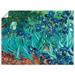 artland artprint iris. 1889 in vele afmetingen  productsoorten -artprint op linnen, poster, muursticker - wandfolie ook geschikt voor de badkamer (1 stuk) blauw