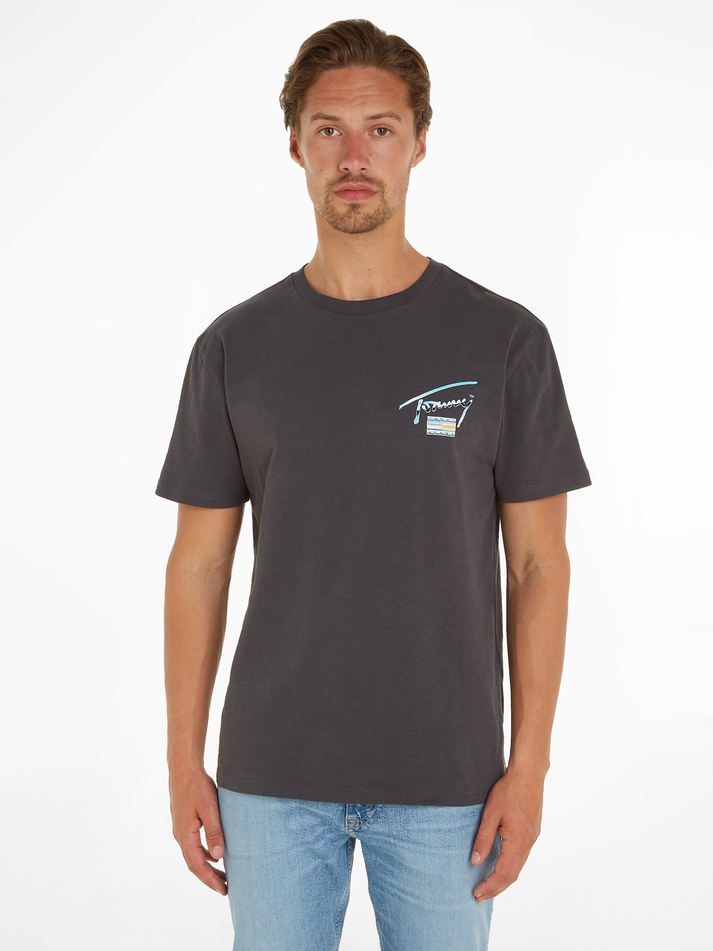 Tommy Jeans Heren Grijs Katoenen T-shirt met Metallic Logo Gray Heren