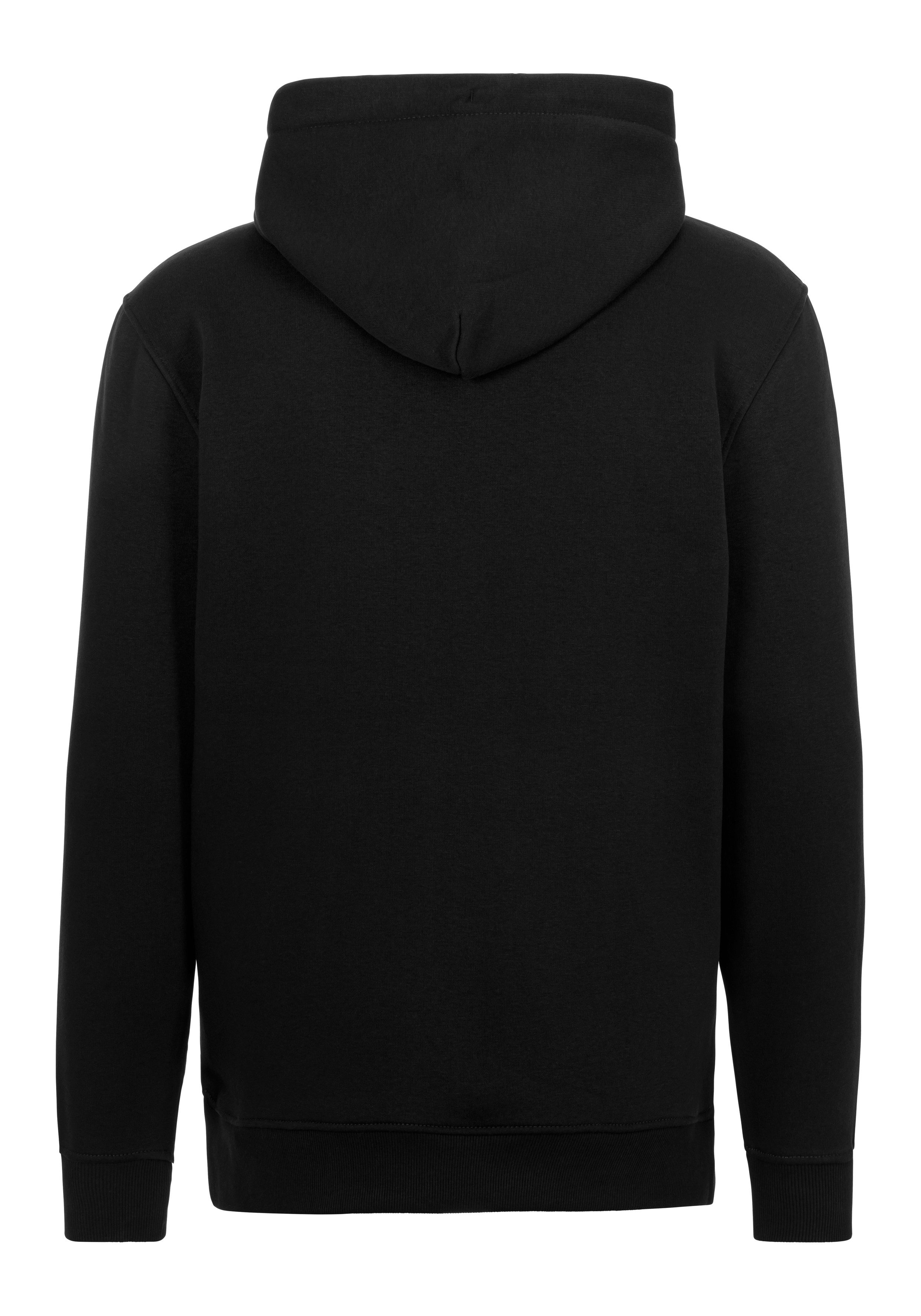 TOMMY JEANS Hoodie TJM REG LINEAR LOGO HOODIE EXT