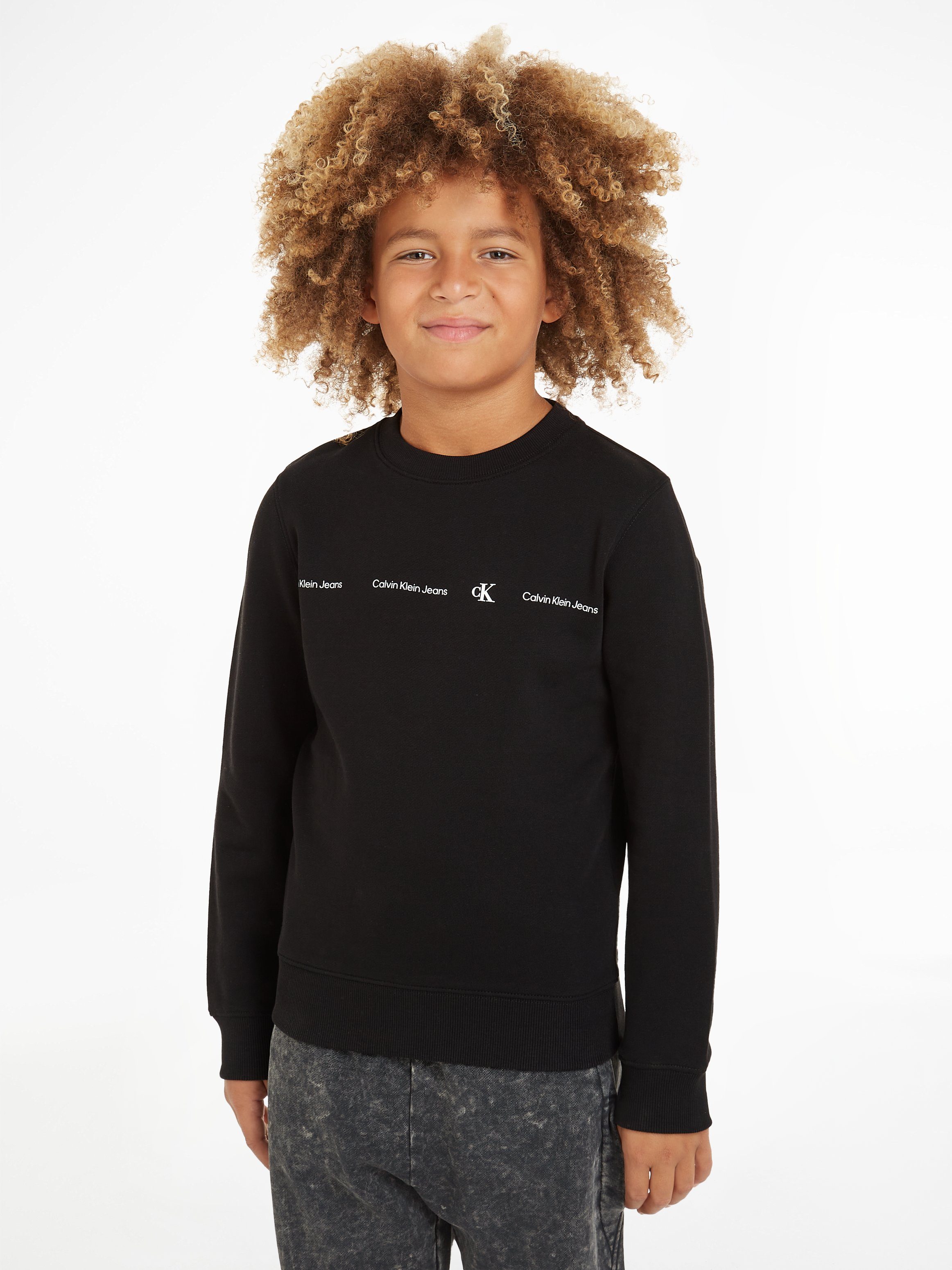Calvin Klein Sweatshirt MINIMALISTIC REG. CN