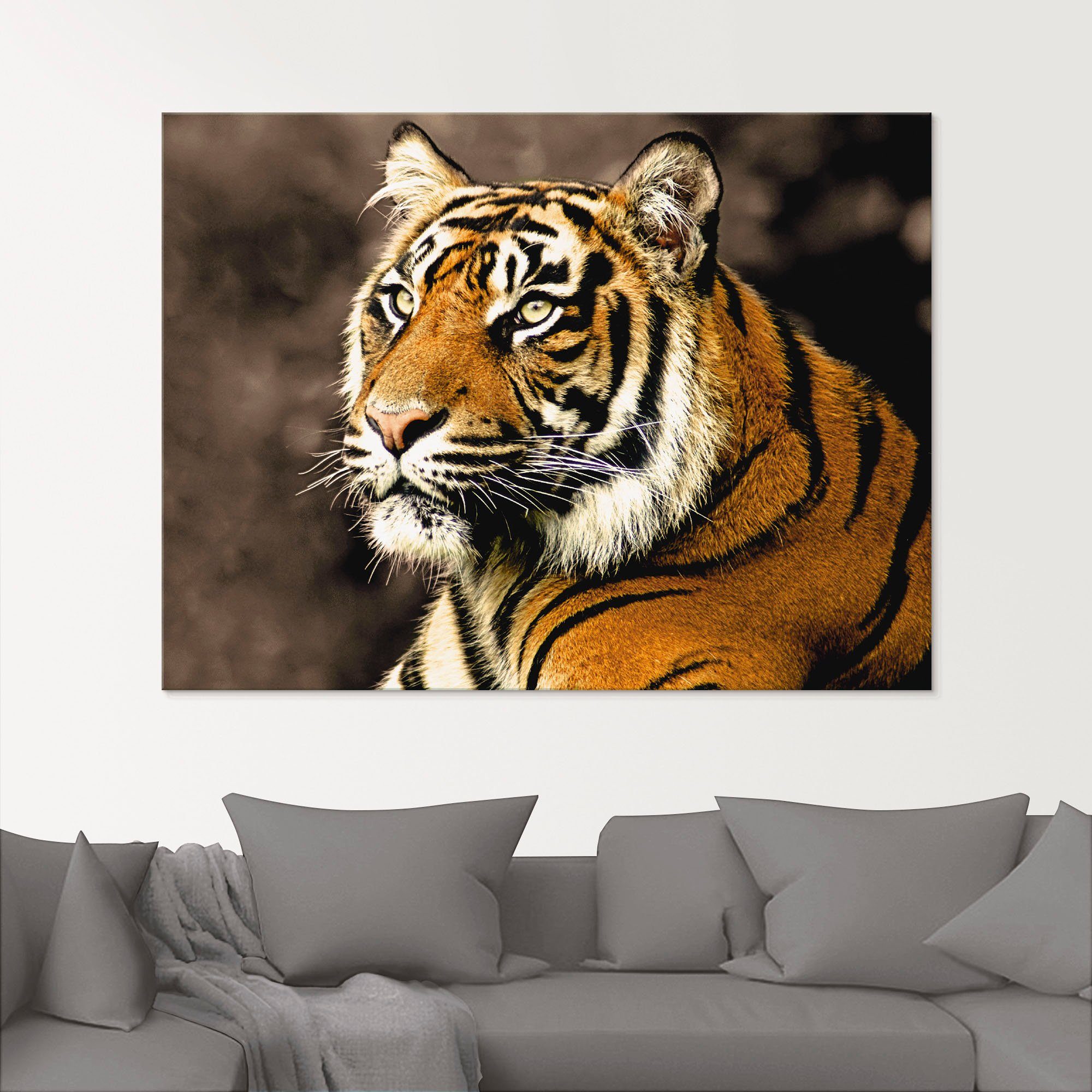 Artland Print op glas Tiger_sepia in verschillende maten