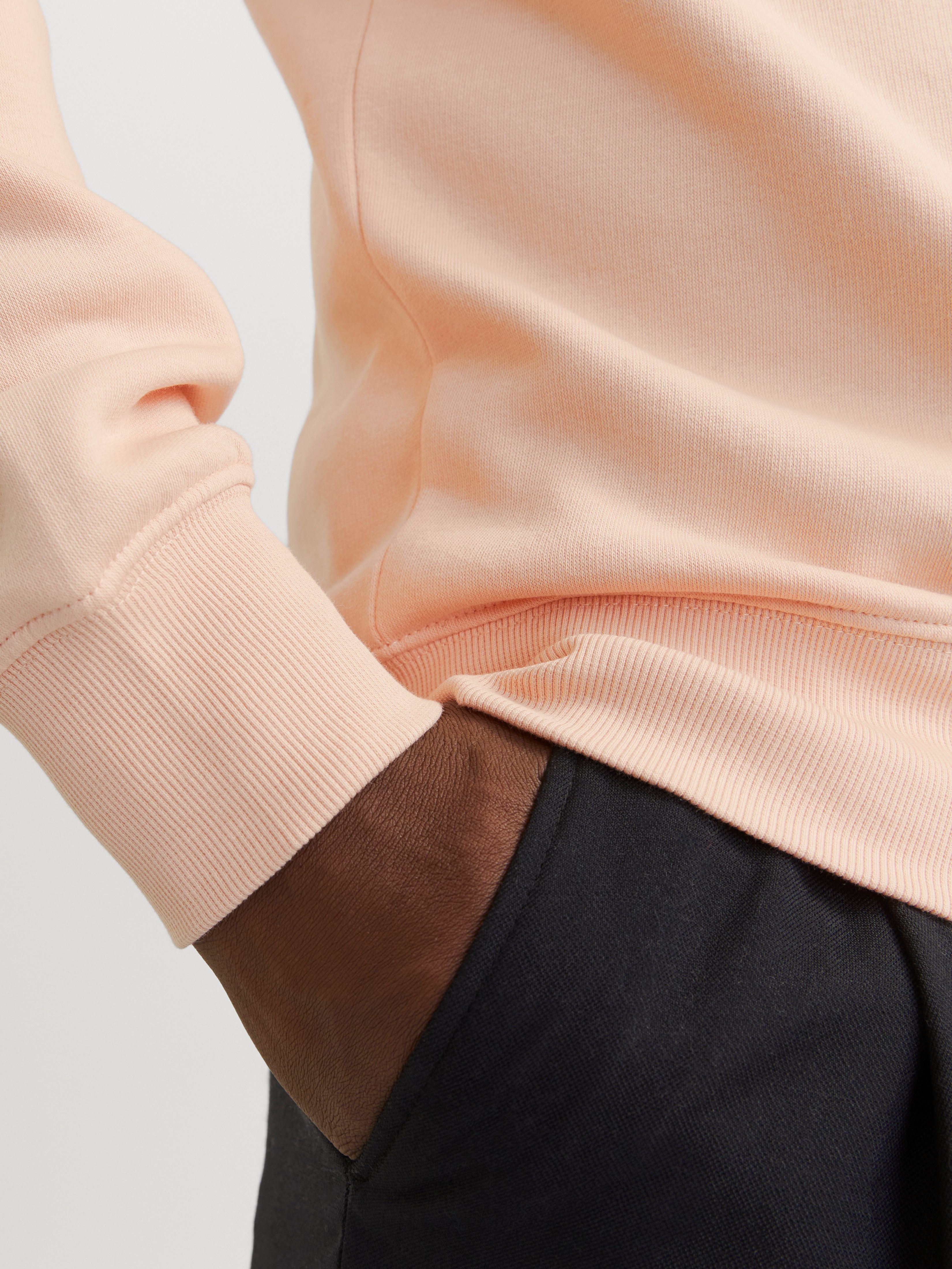 Jack & Jones Sweatshirt JJESTAR BASIC SWEAT CREW NECK NOOS