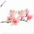 artland artprint magnolie in vele afmetingen  productsoorten - artprint van aluminium - artprint voor buiten, artprint op linnen, poster, muursticker - wandfolie ook geschikt voor de badkamer (1 stuk) roze