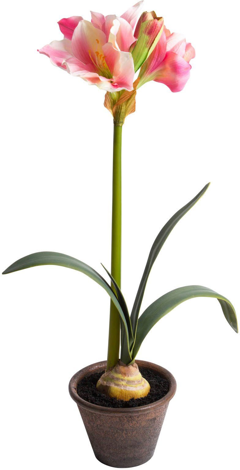 Botanic-Haus Kunstbloem Amaryllis in bruine kunststof pot (1 stuk)