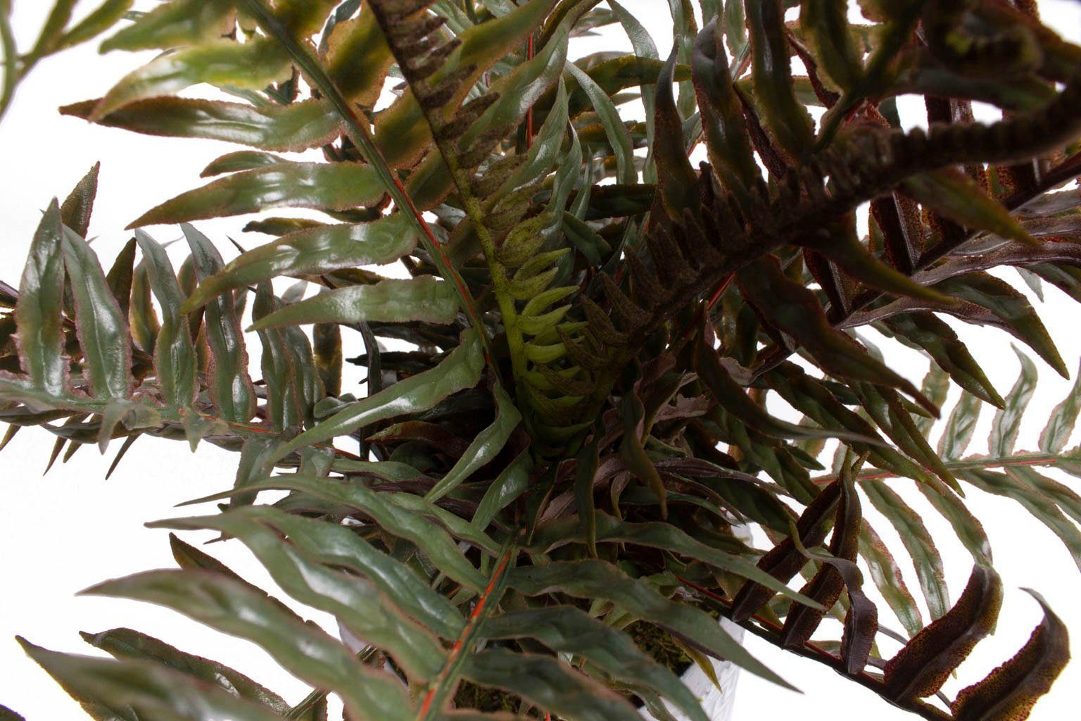 Botanic-Haus Kunst-potplanten Varen in cementen pot (1 stuk)