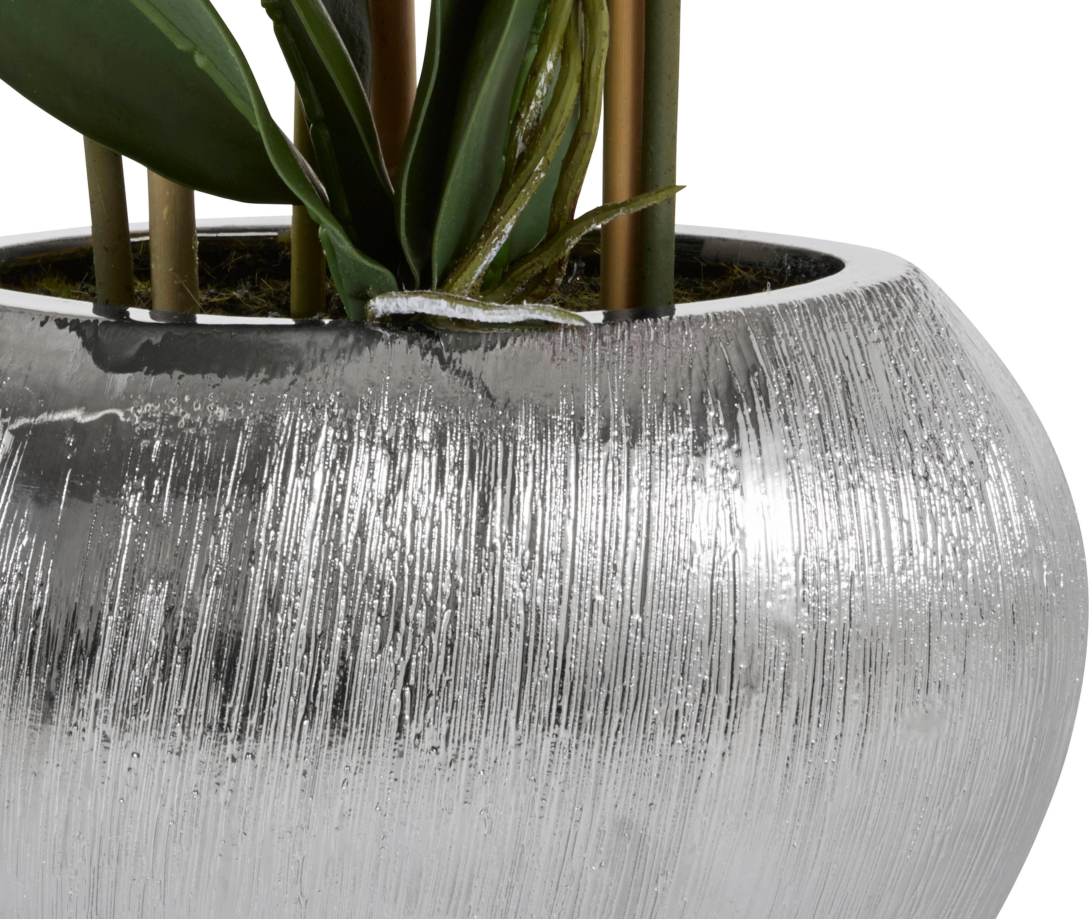 Home affaire Kunstplant Orchidee Kunstorchidee, in een pot (1 stuk)