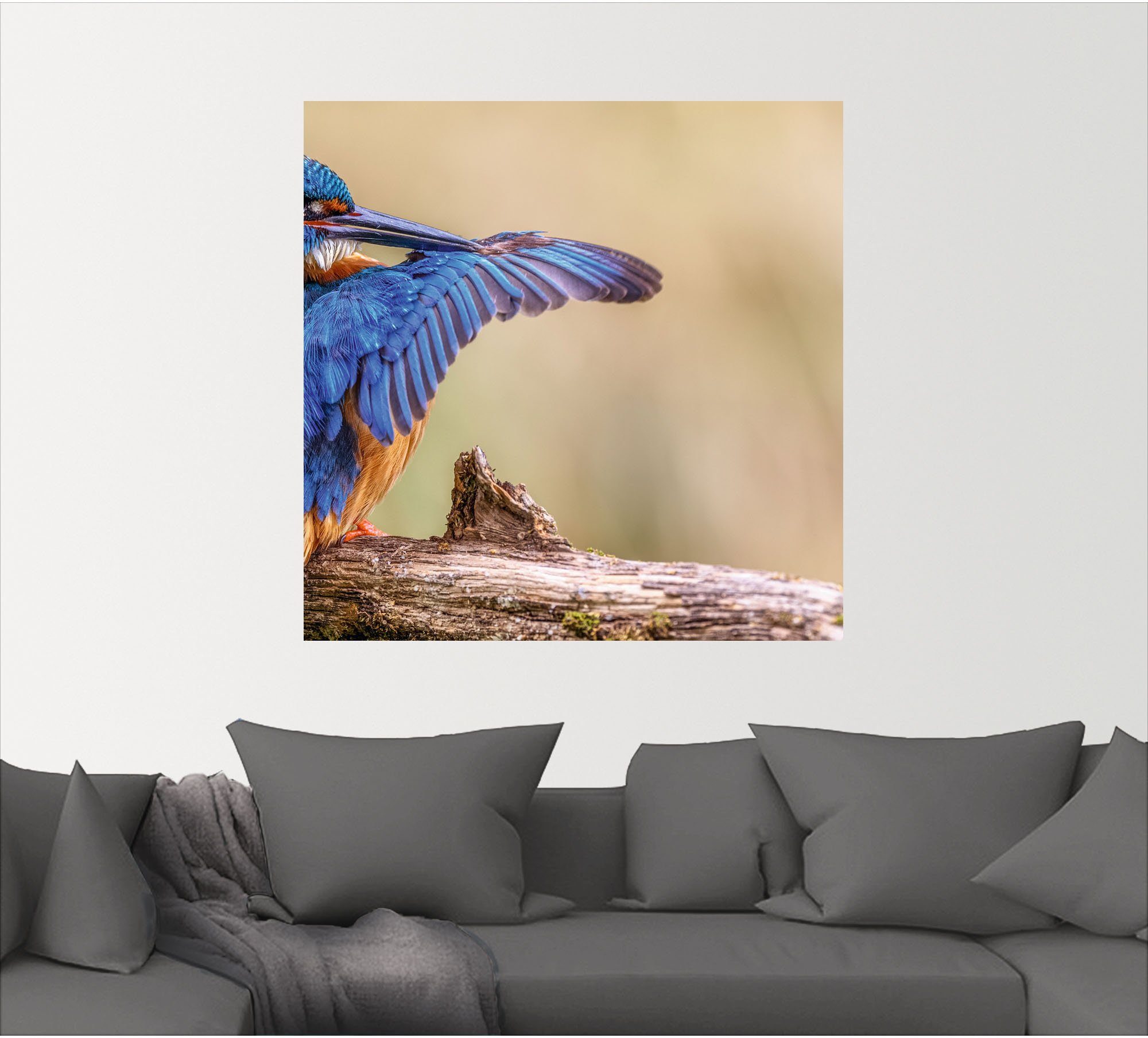 Artland Aluminium dibond print Ijsvogel II