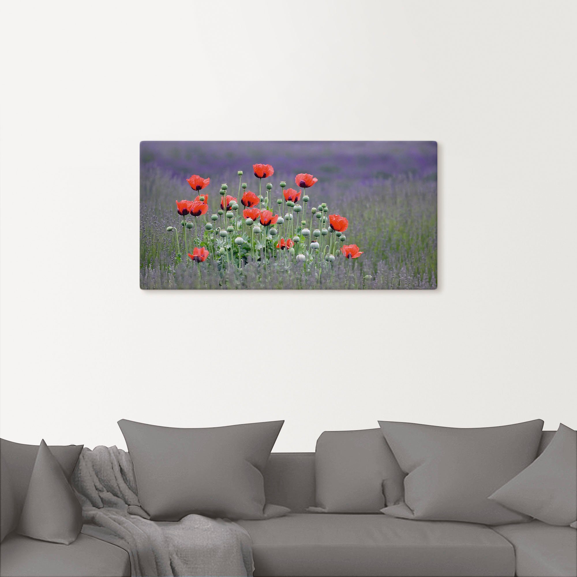 Artland Artprint Lavendel boerderij in Sequim - klaprozen als artprint op linnen, poster, muursticker in verschillende maten