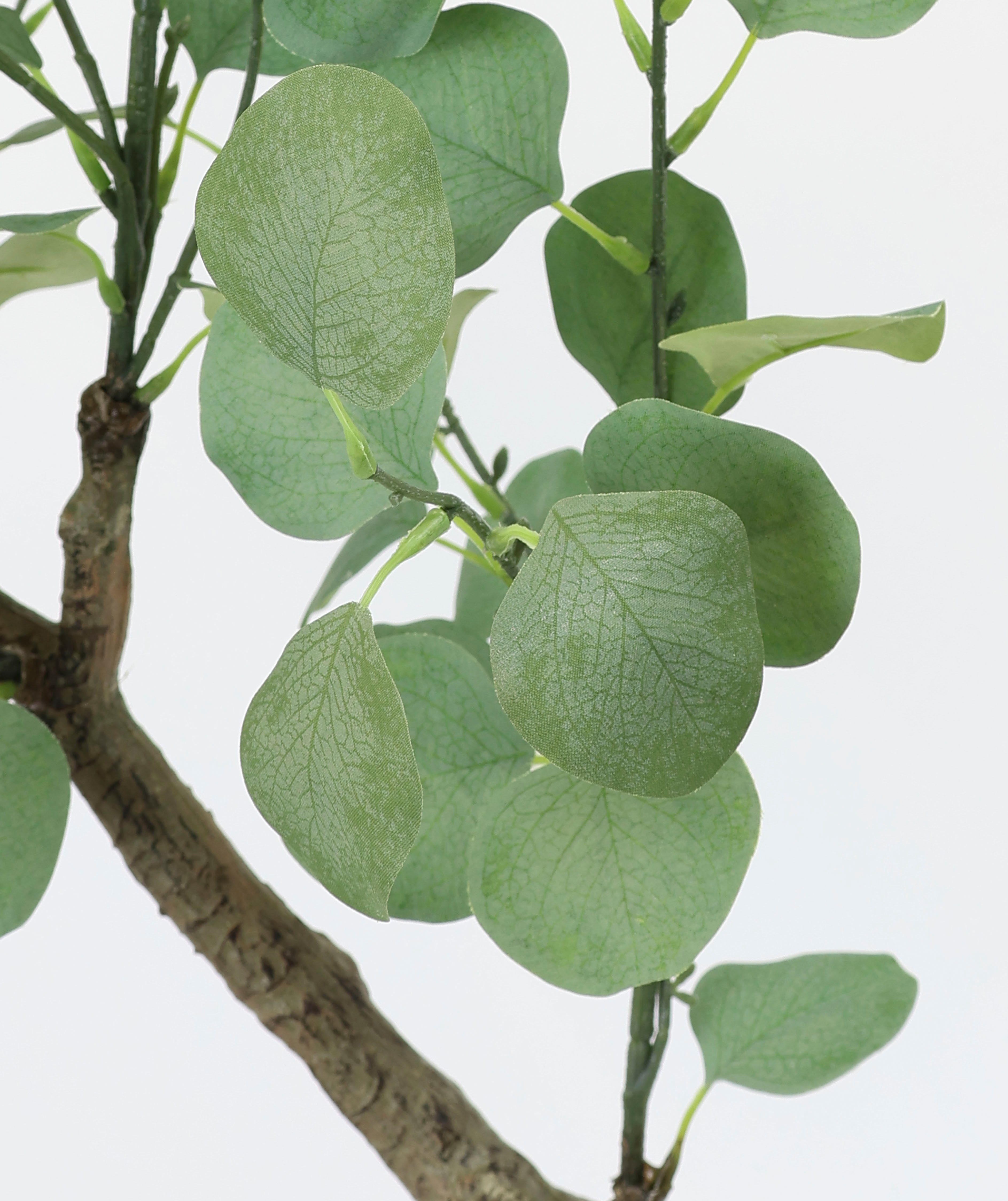 I.GE.A. Kunstplant Kunstboom eucalyptus in pot plant decoratie struik Kunstbloem, kunst, groene planten, zilver dollar bladeren (1 stuk)