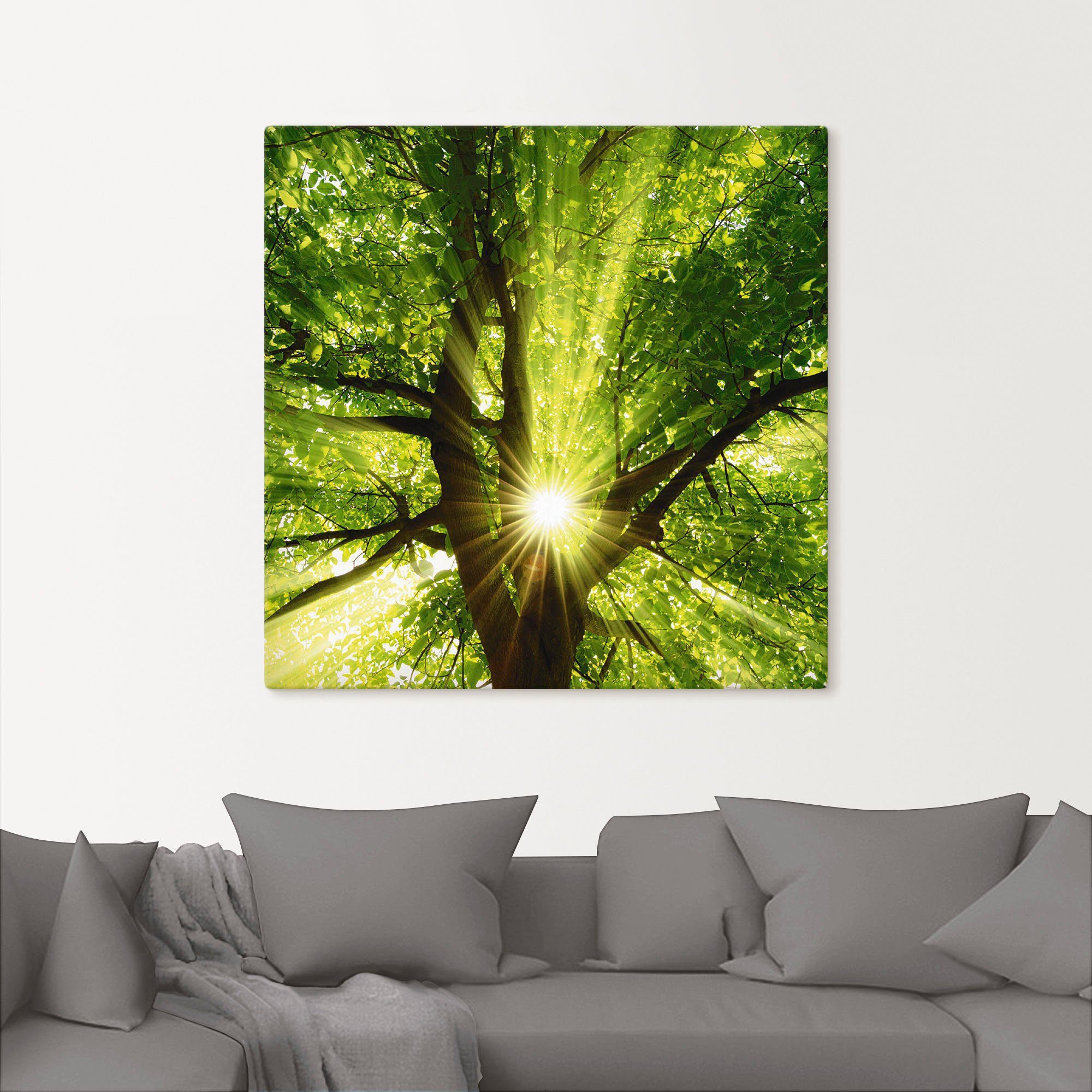 Artland Artprint Zon straalt explosief door de boom als artprint op linnen, poster, muursticker in verschillende maten