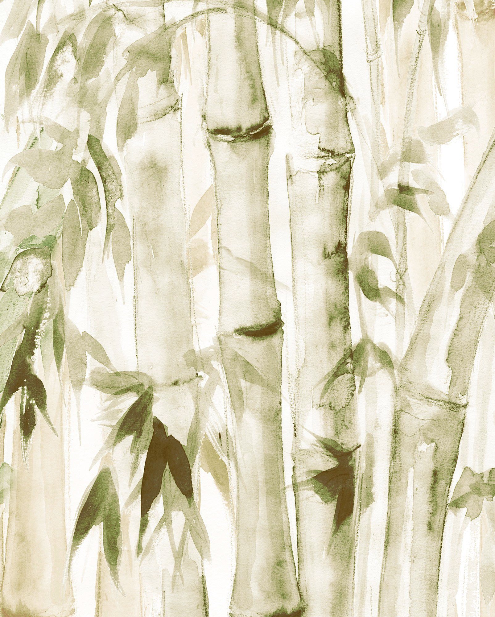 Komar Poster Wild Bamboo
