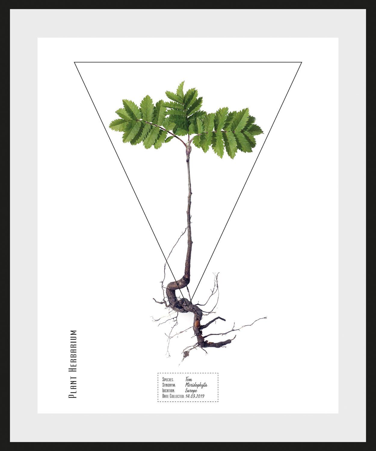 queence Wanddecoratie Fem HD premium posterdruk incl. houten lijst (1 stuk)
