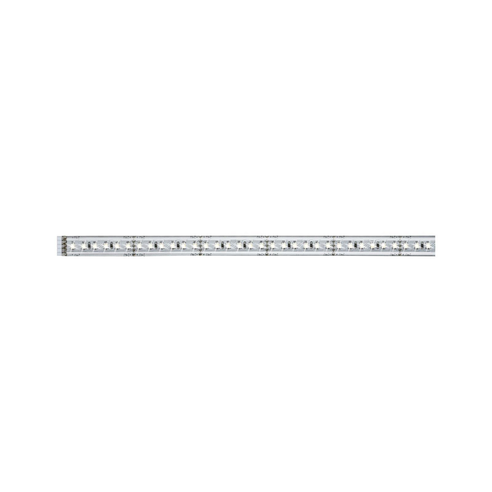 Paulmann Led-strepen MaxLED 1000 Stripe 1m IP44 Deksel 2700K 12W 24V zilverkleur kunststof (1 stuk)