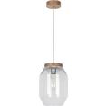 britop lighting hanglamp vaso natuurproduct van eikenhout, duurzaam met fsc-certificaat, hoogwaardige glazen kap (set, 1 stuk) bruin