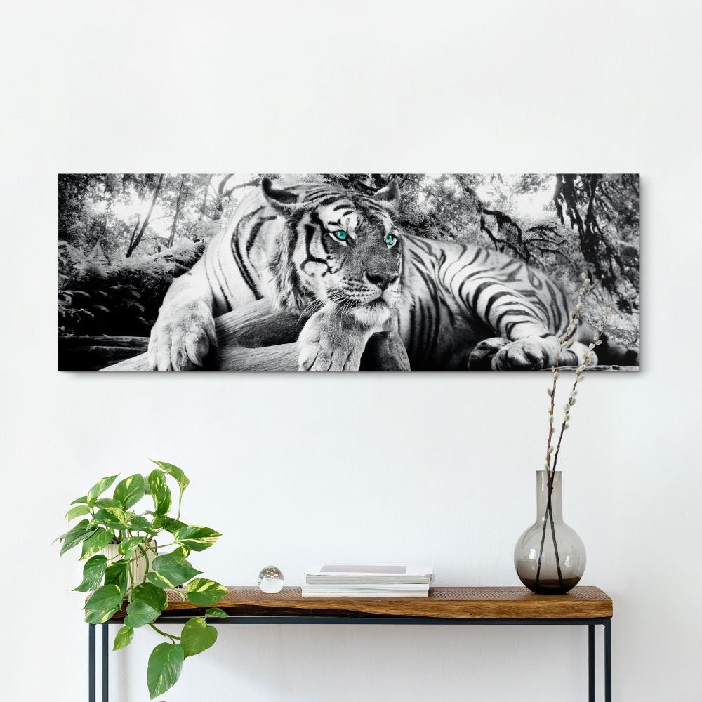 artprint »Tigerblick Wandbild Tiger - Raubtier - Wandbild Wohnzimmer