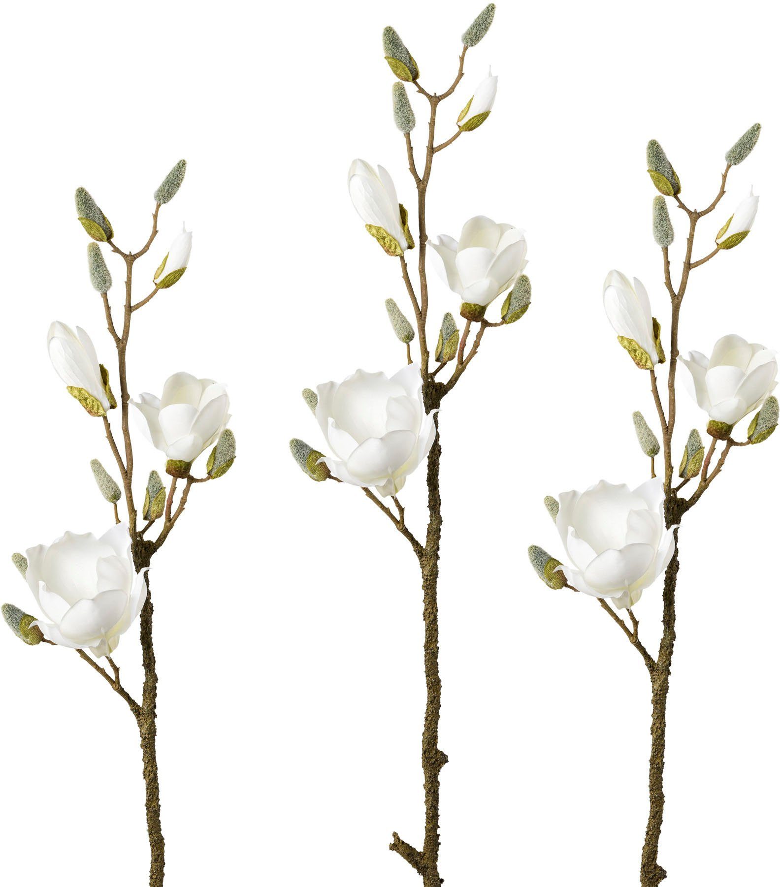 Creativ green Kunsttak Tak magnolia set van 3