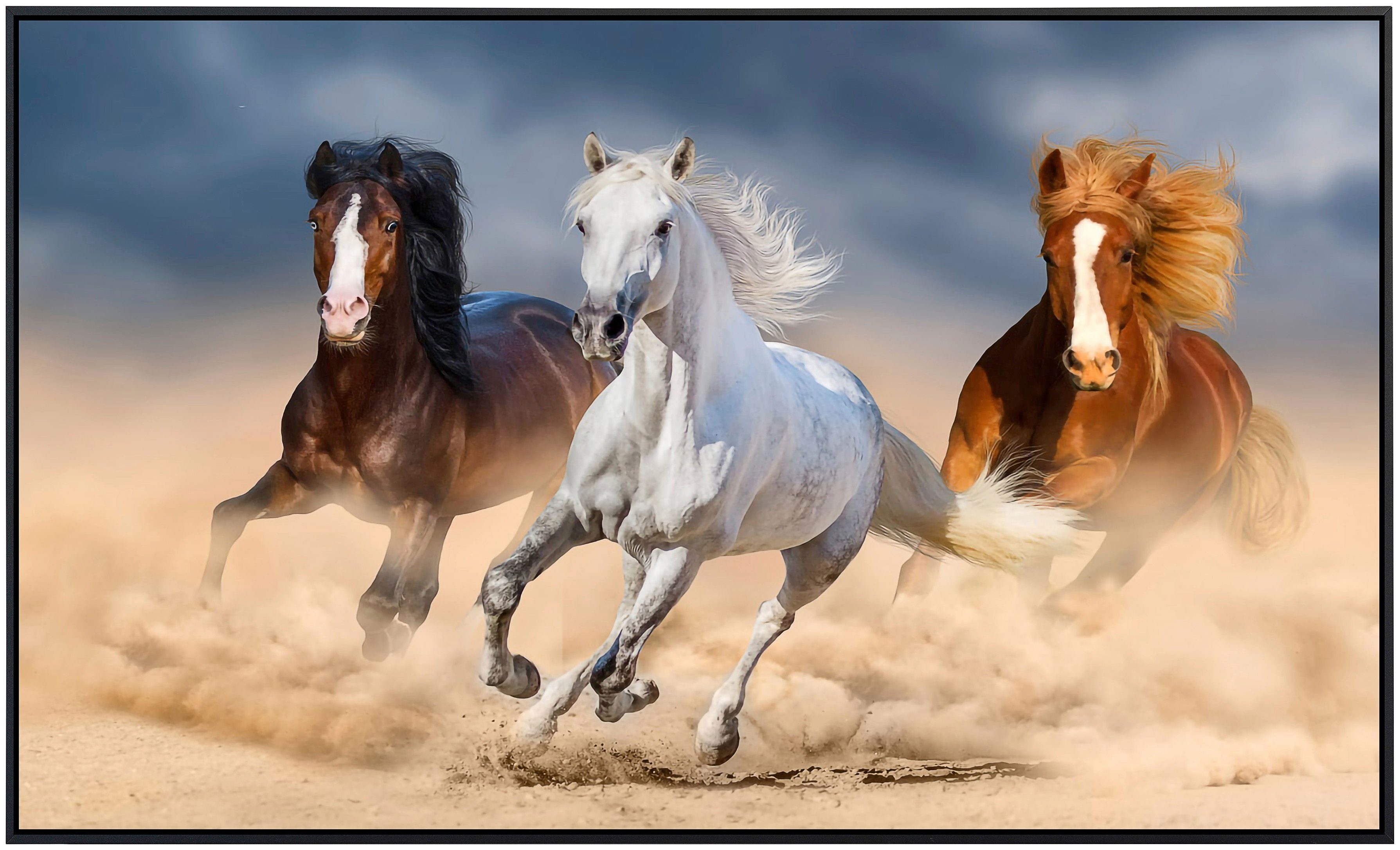Papermoon Infraroodverwarming Paarden zeer aangename stralingswarmte