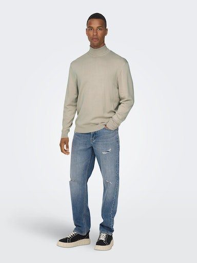 ONLY & SONS Coltrui ONSWYLER LIFE REG ROLL NECK KNIT NOOS