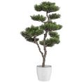 creativ green kunstboom bonsai ceder in een plastic pot (1 stuk) groen