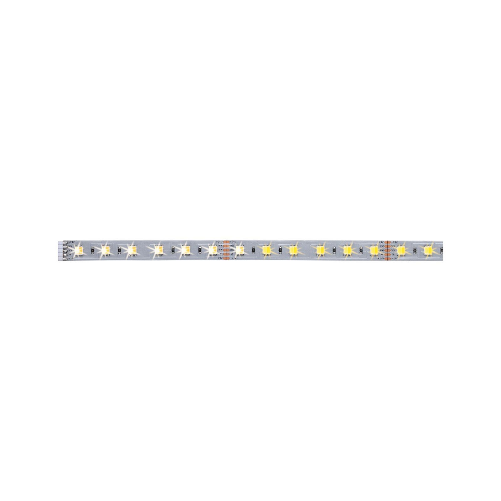 Paulmann Led-strepen MaxLED Stripe 1m 6,2W 24V zilverkleur kunststof (1 stuk)