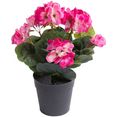 botanic-haus kunstbloem geranium met 6 stelen roze