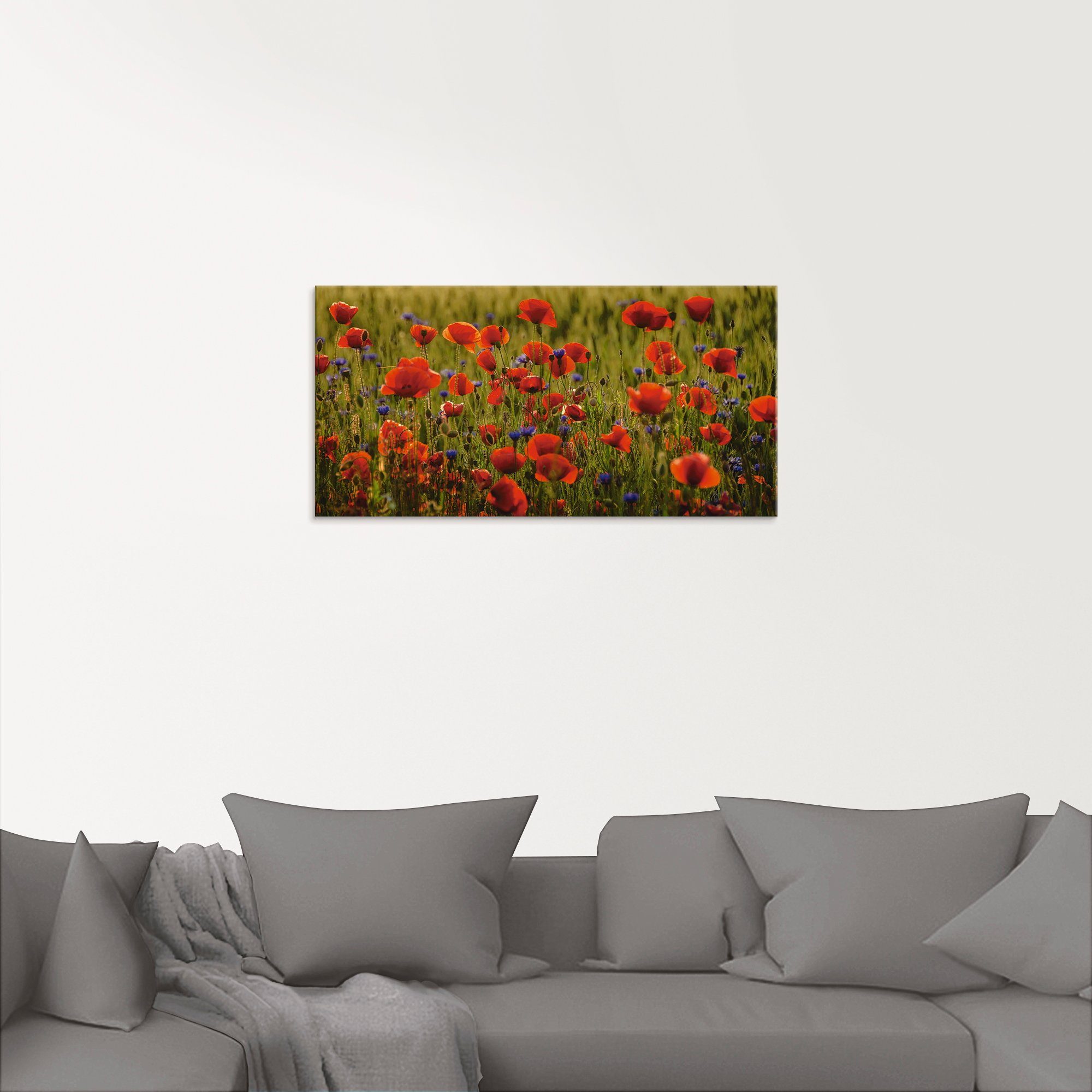 Artland Print op glas Zomerse klaproos in verschillende maten