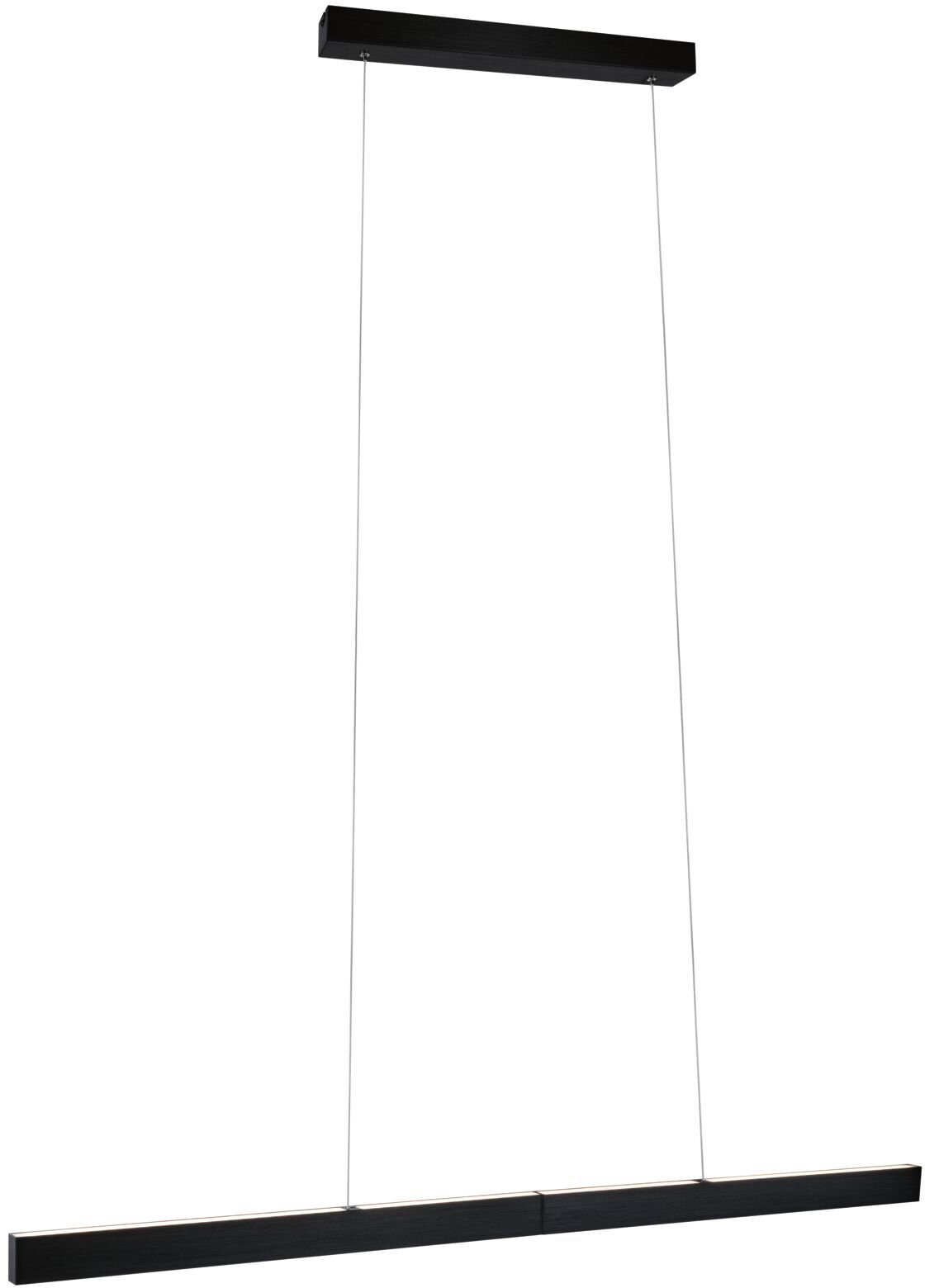 Paulmann Led-hanglamp Aptare LED-module, dimbaar, 230 V (1 stuk)