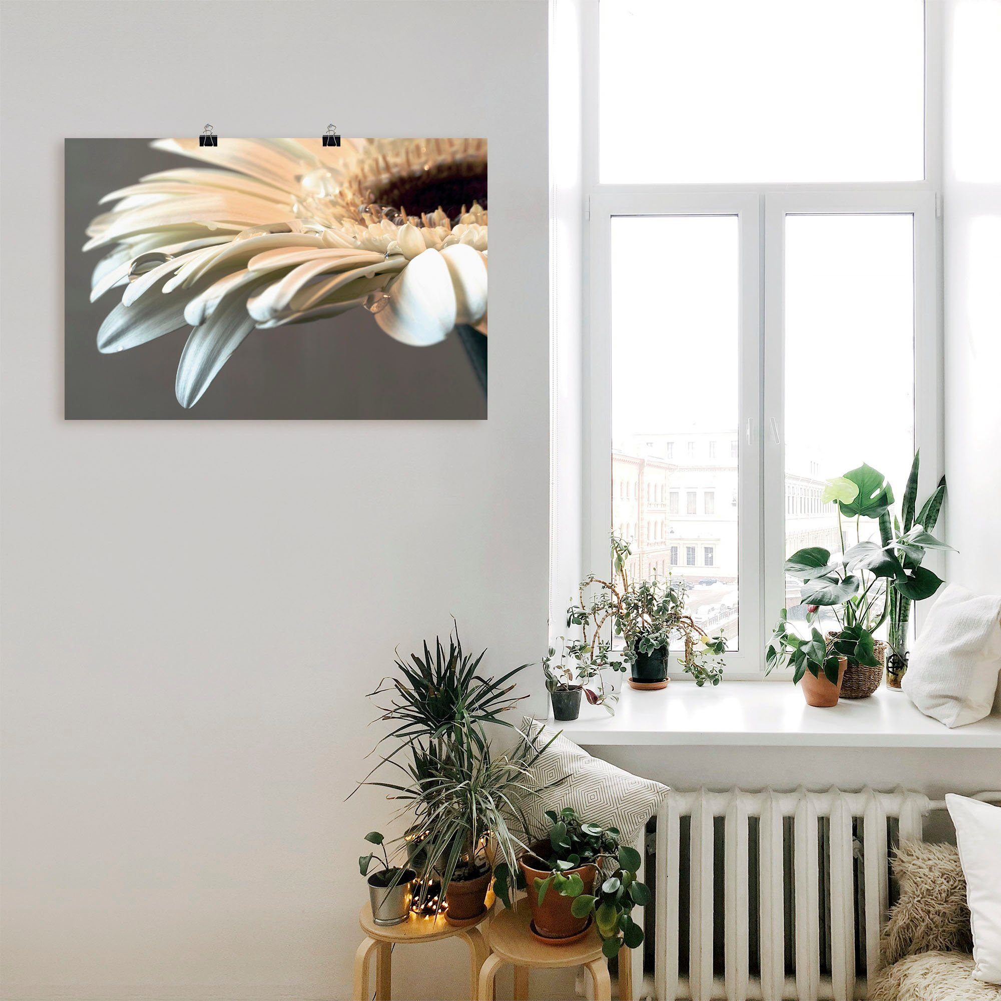 Artland Artprint Bloem van een gerbera als artprint op linnen, poster, muursticker in verschillende maten
