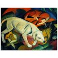 artland print op glas drie dieren (hond vos en kat). 1912 (1 stuk) rood