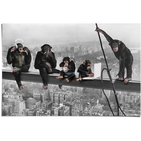 Chimpansees boven Manhattan