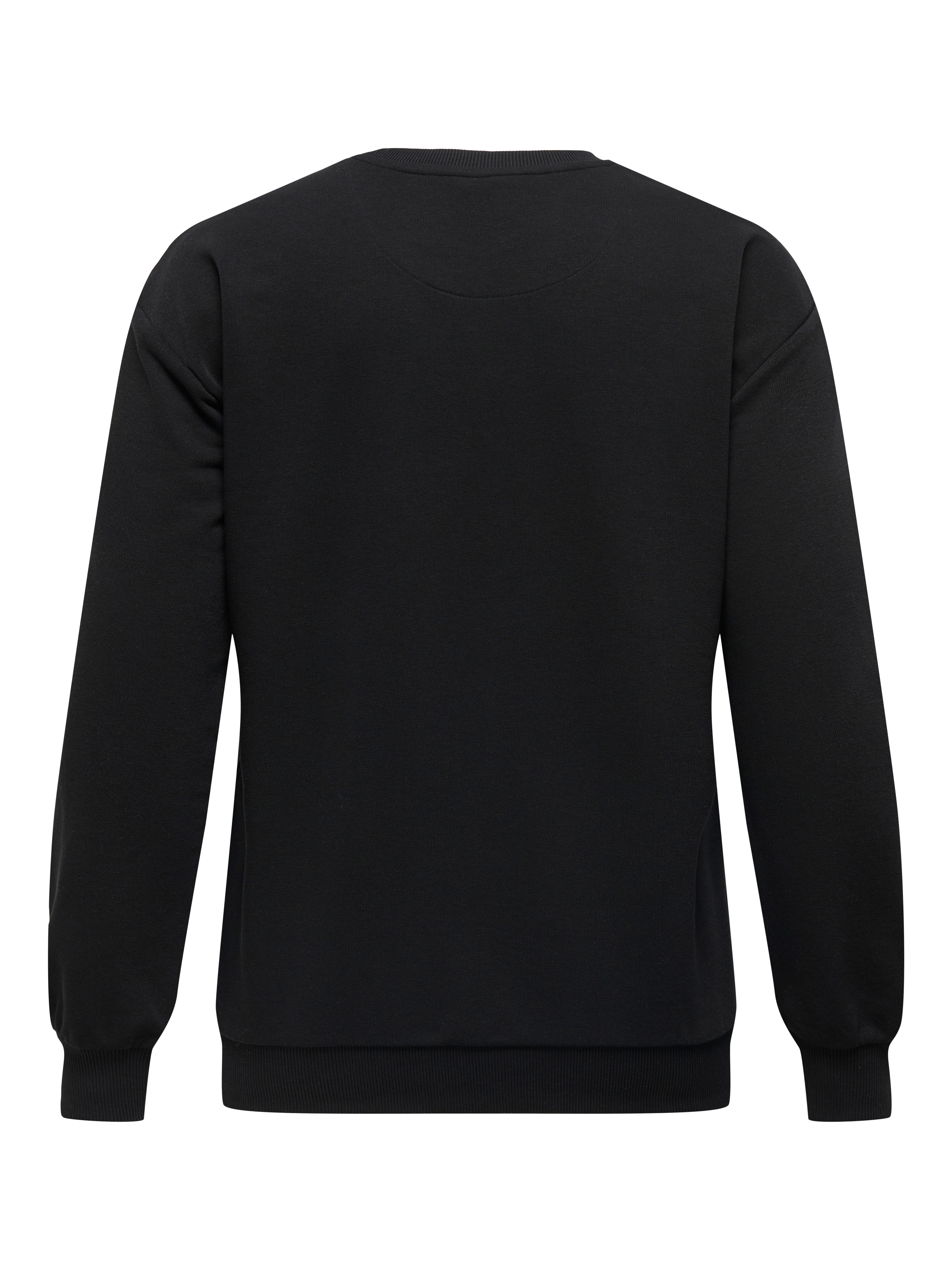 ONLY CARMAKOMA Sweatshirt