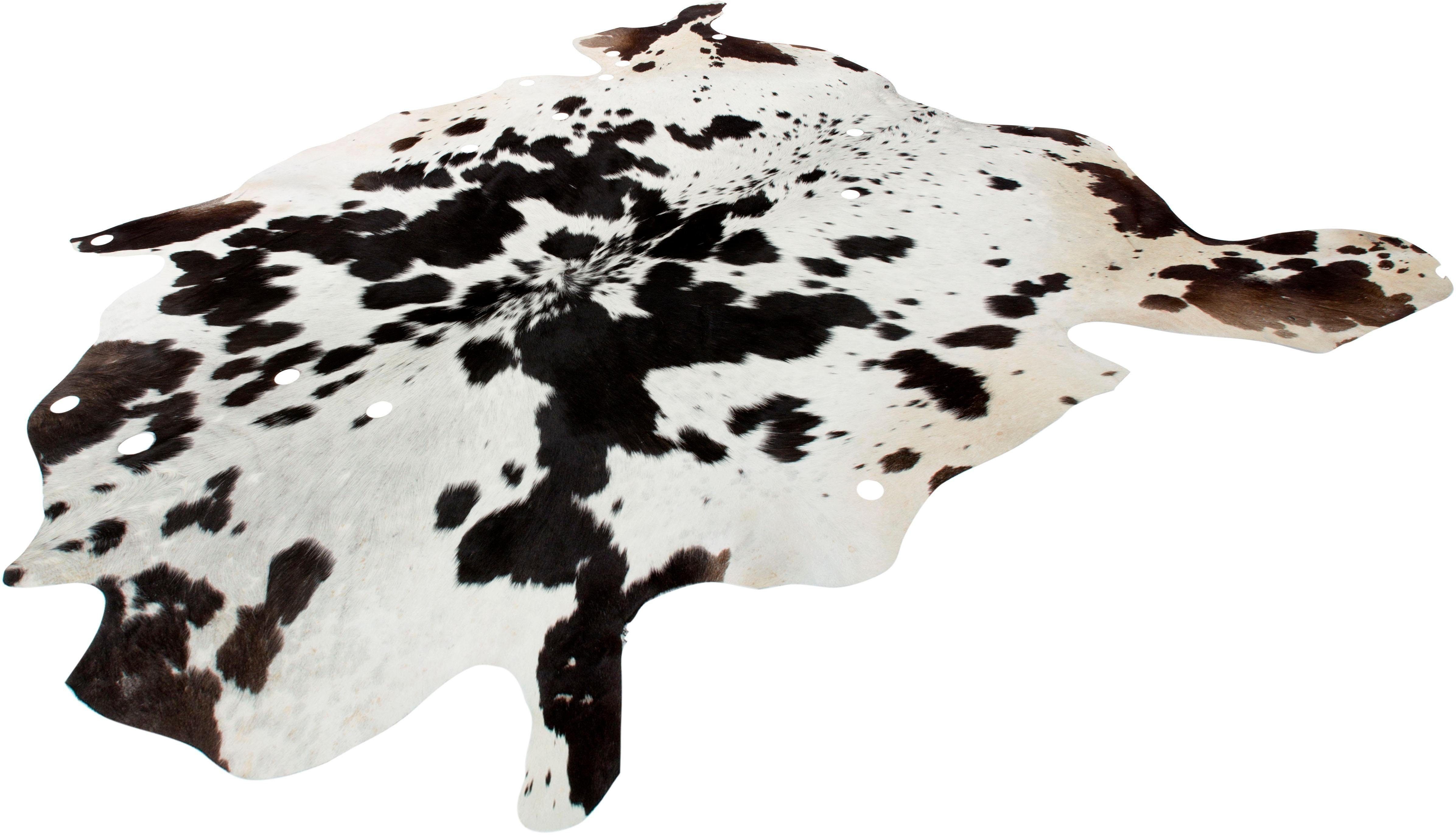 calo-deluxe Vachtvloerkleed Ronda 220 echte runderhuid, woonkamer dieren vloerkleden maat 90x160 cm zwart