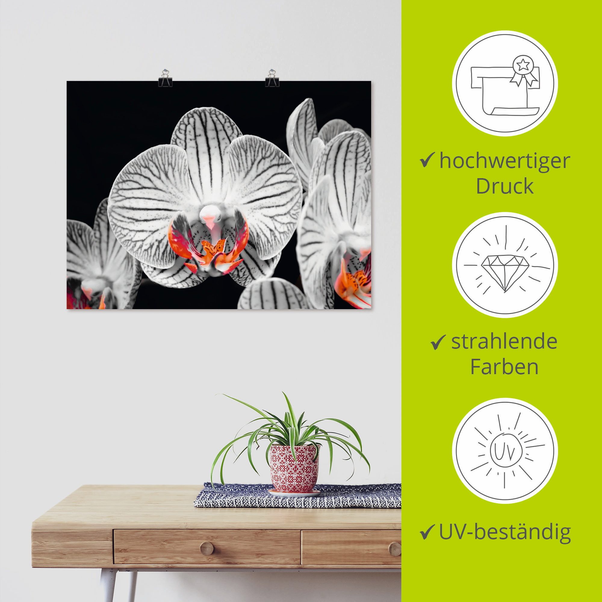 Artland Poster Orchidee abstracte collage IV als artprint op linnen, muursticker of poster in verschillende maten
