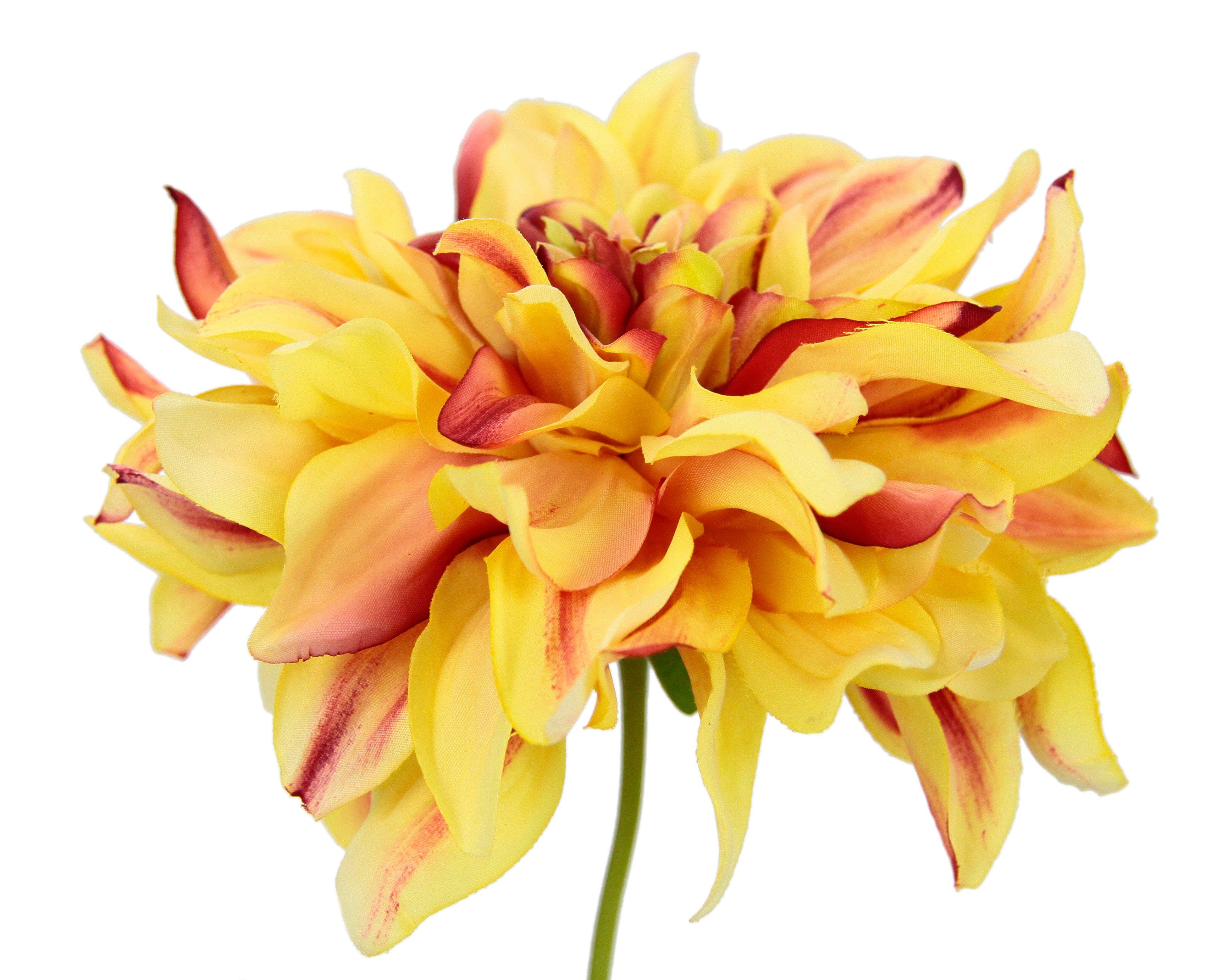 I.GE.A. Kunstbloem Dahlia Enkele bloem, steelbloem, 3-delige set (3 stuks)
