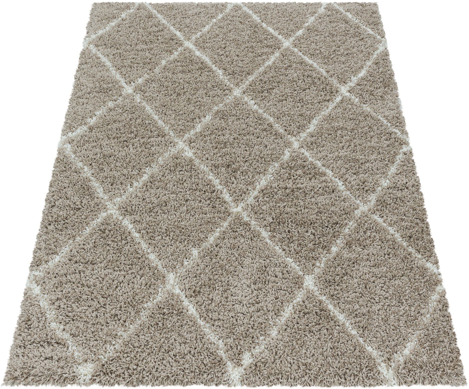 Ayyildiz Teppiche Hoogpolig vloerkleed ALVOR 3401