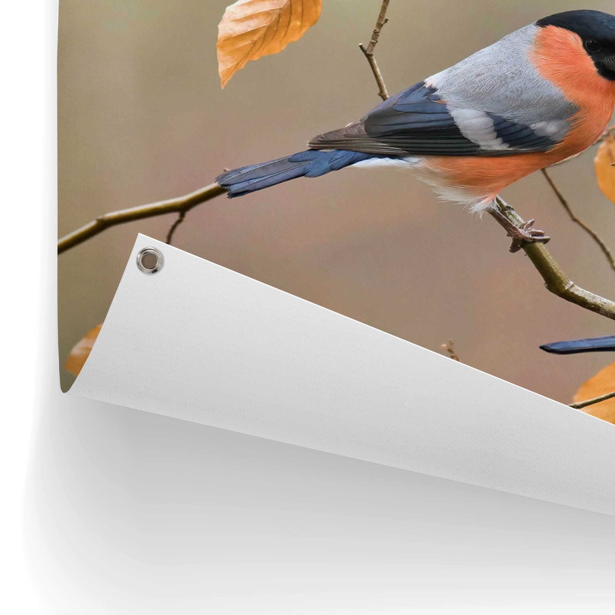 Reinders! Poster Gimpel Outdoor voor tuin of balkon