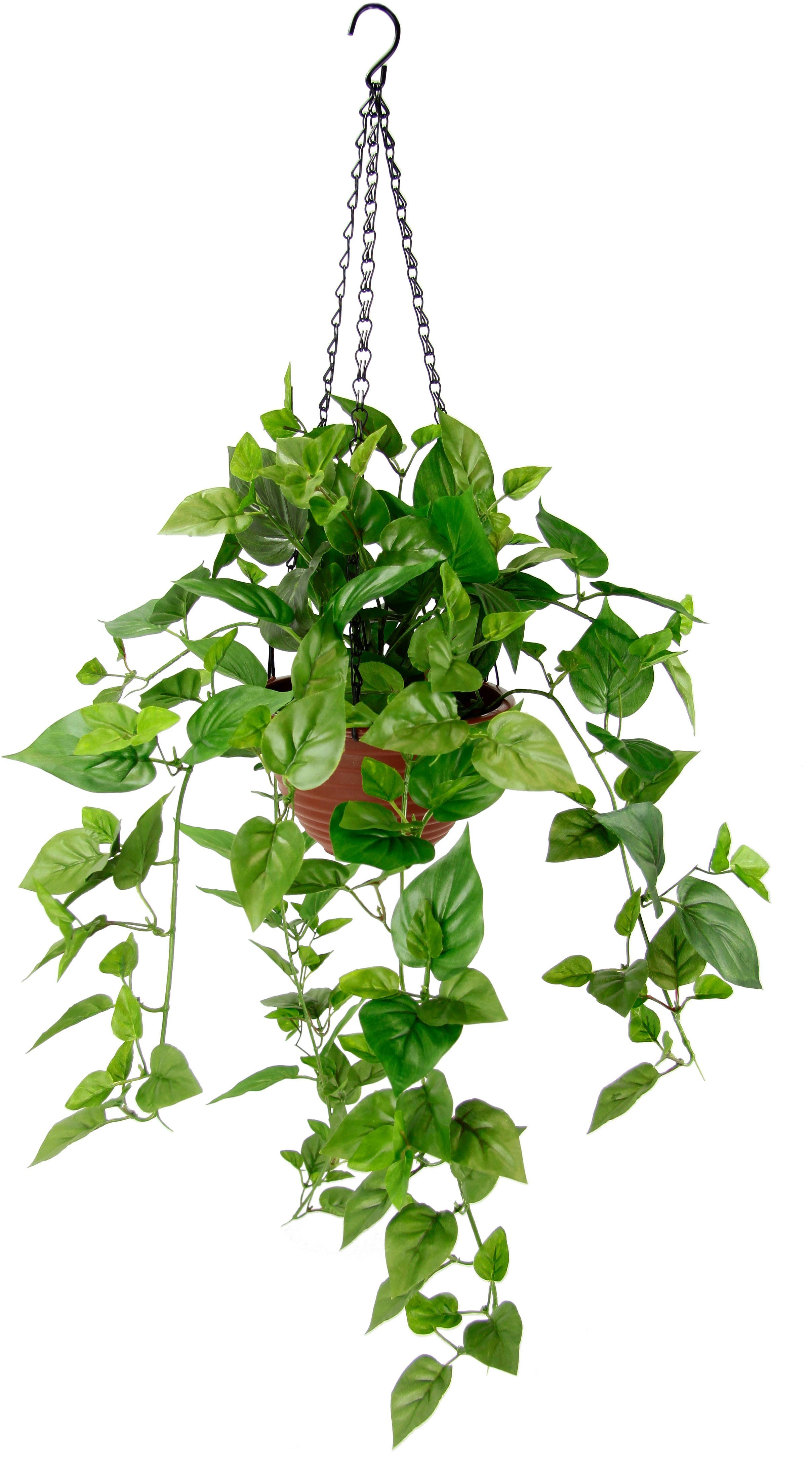 my home Kunstplant Drakenklimop In pot, met plantenhanger, kunsthangplanten (1 stuk) kunstplanten groen