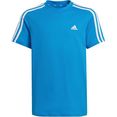 adidas performance t-shirt adidas essentials 3-stripes blauw