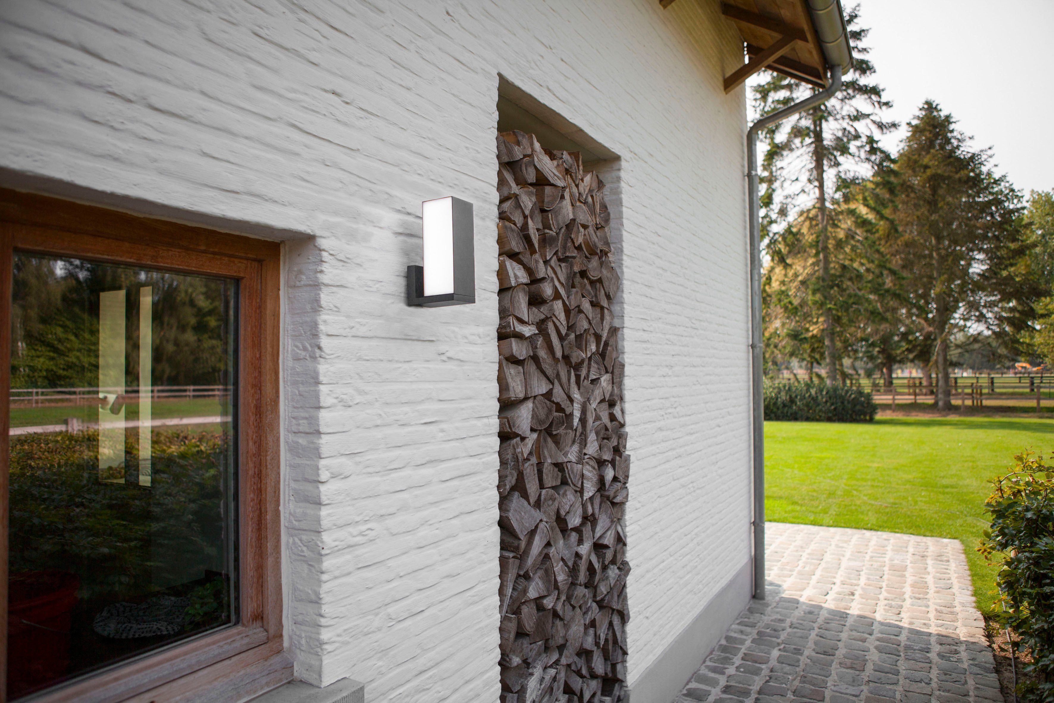 LUTEC Slimme ledlamp Cuba Smart-home (1 stuk)