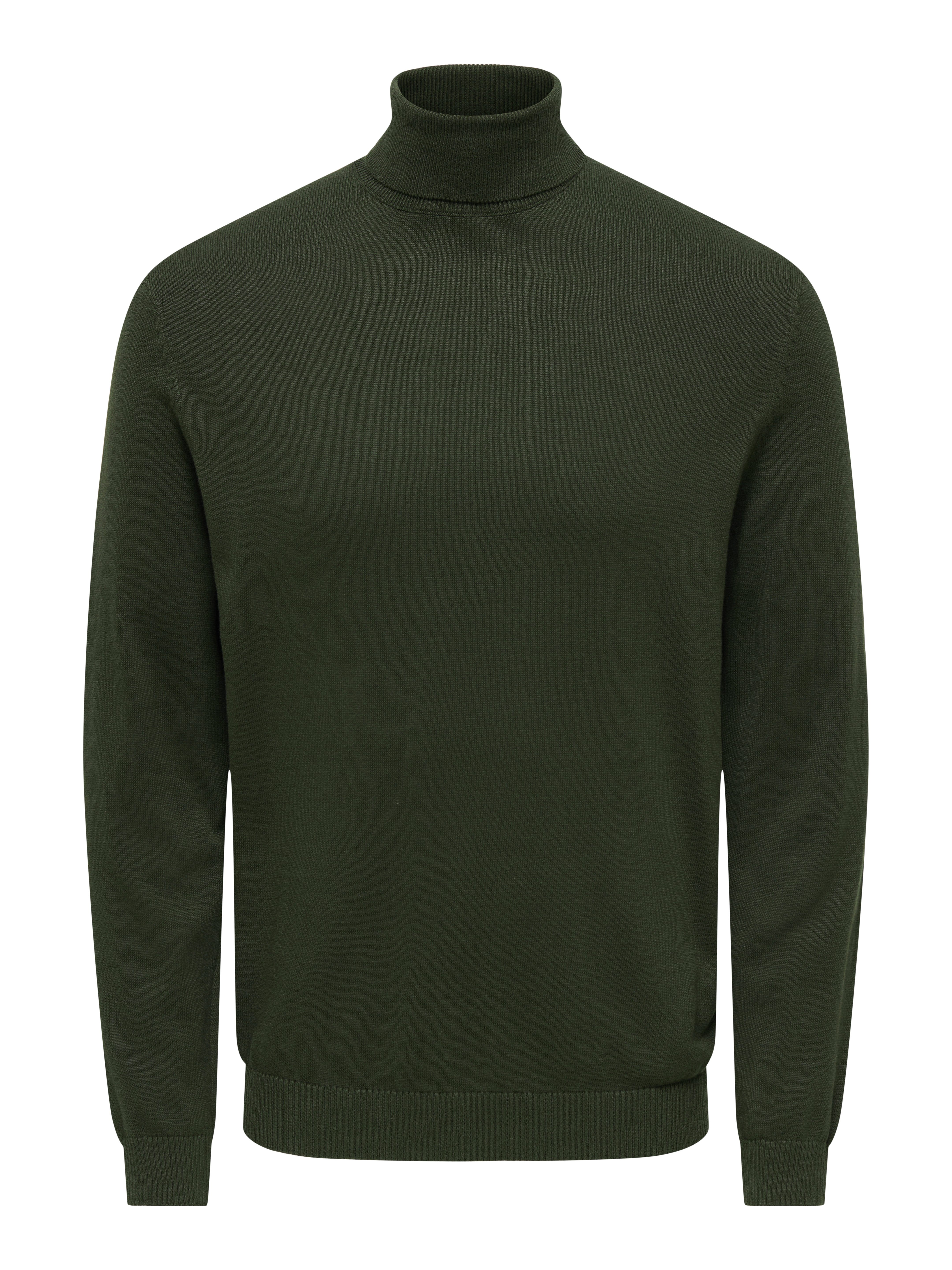 ONLY & SONS Coltrui ONSHOLGER REG ROLL NECK KNIT - OTL