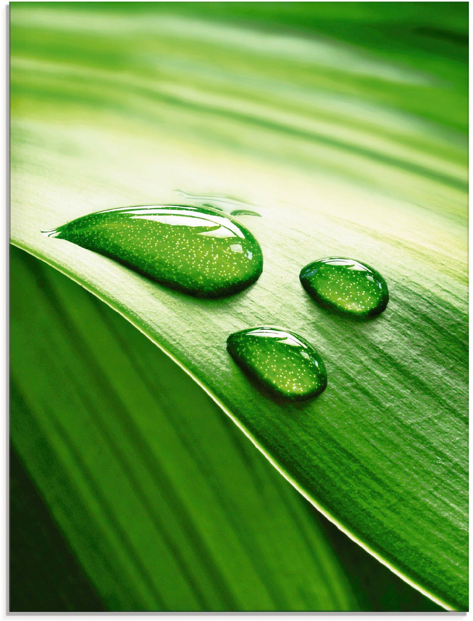 Artland Print op glas Close-up van een groen plantenblad (1 stuk)