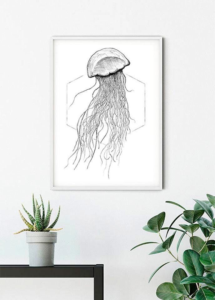Komar Wanddecoratie Jellyfish white Wanddecoratie - zonder lijst (1 stuk)