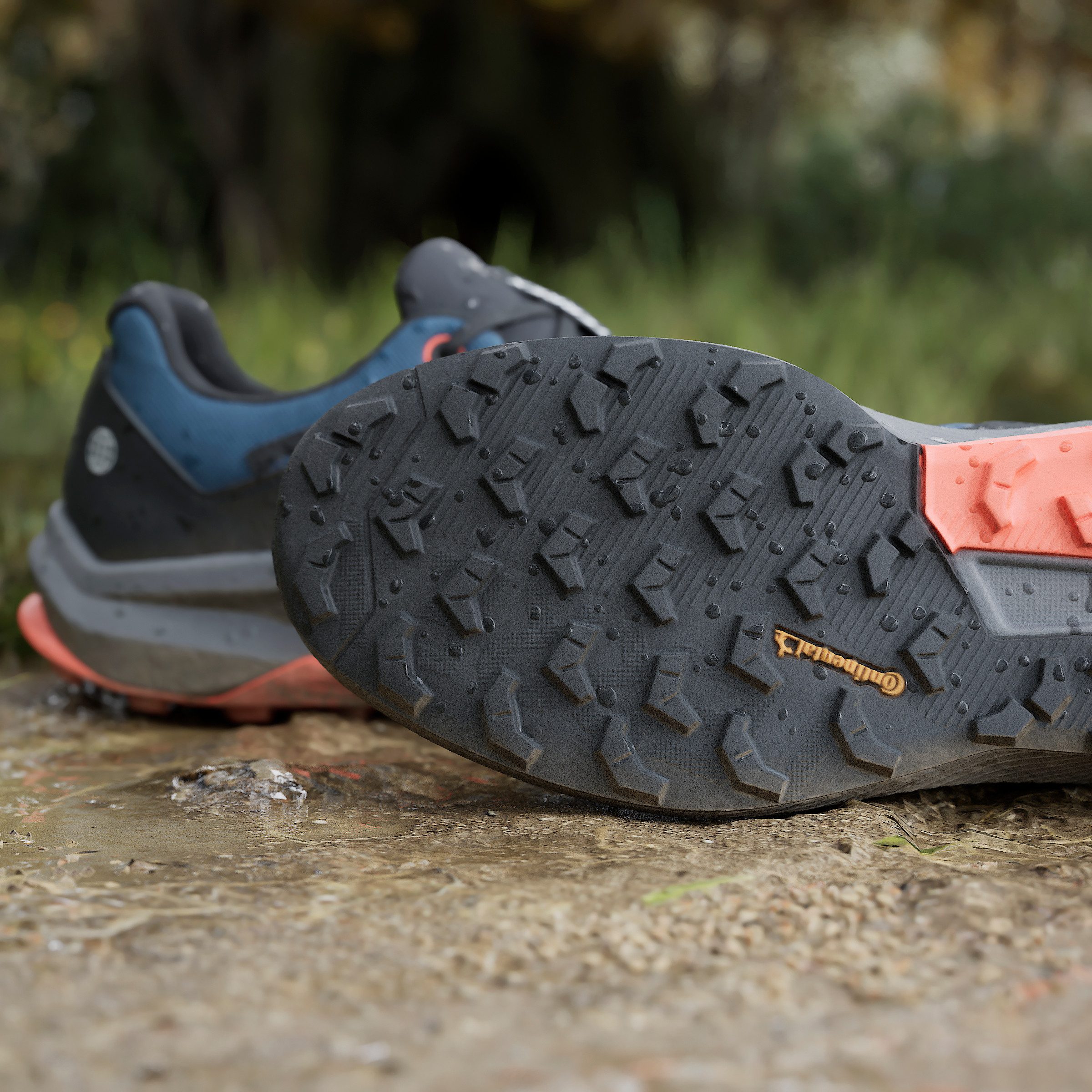 adidas TERREX Trailrunningschoenen TRAIL RIDER GORE-TEX TRAILRUNNING