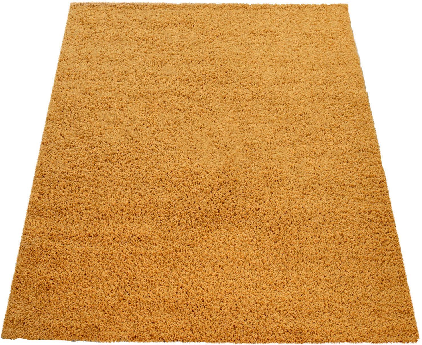 Paco Home Hoogpolig vloerkleed Sky 250