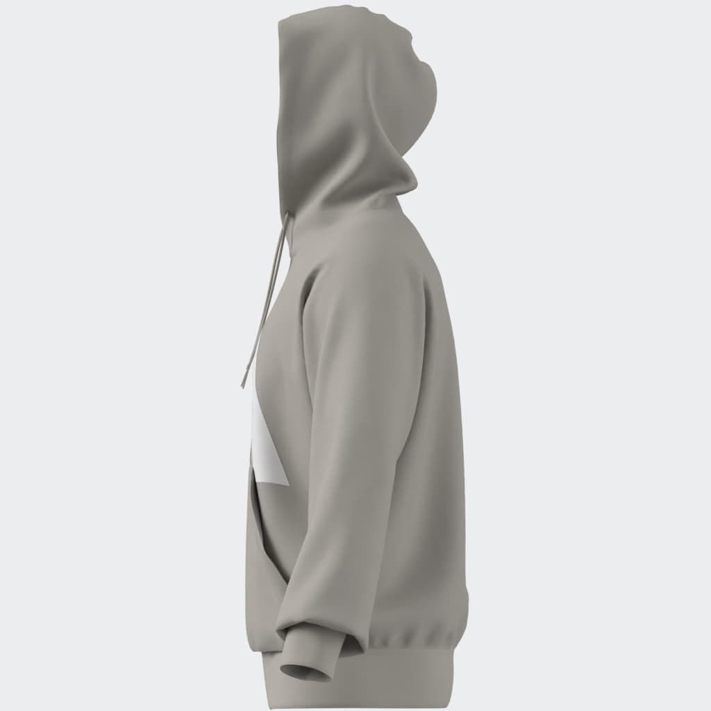 adidas Sportswear Hoodie M BL FL HD