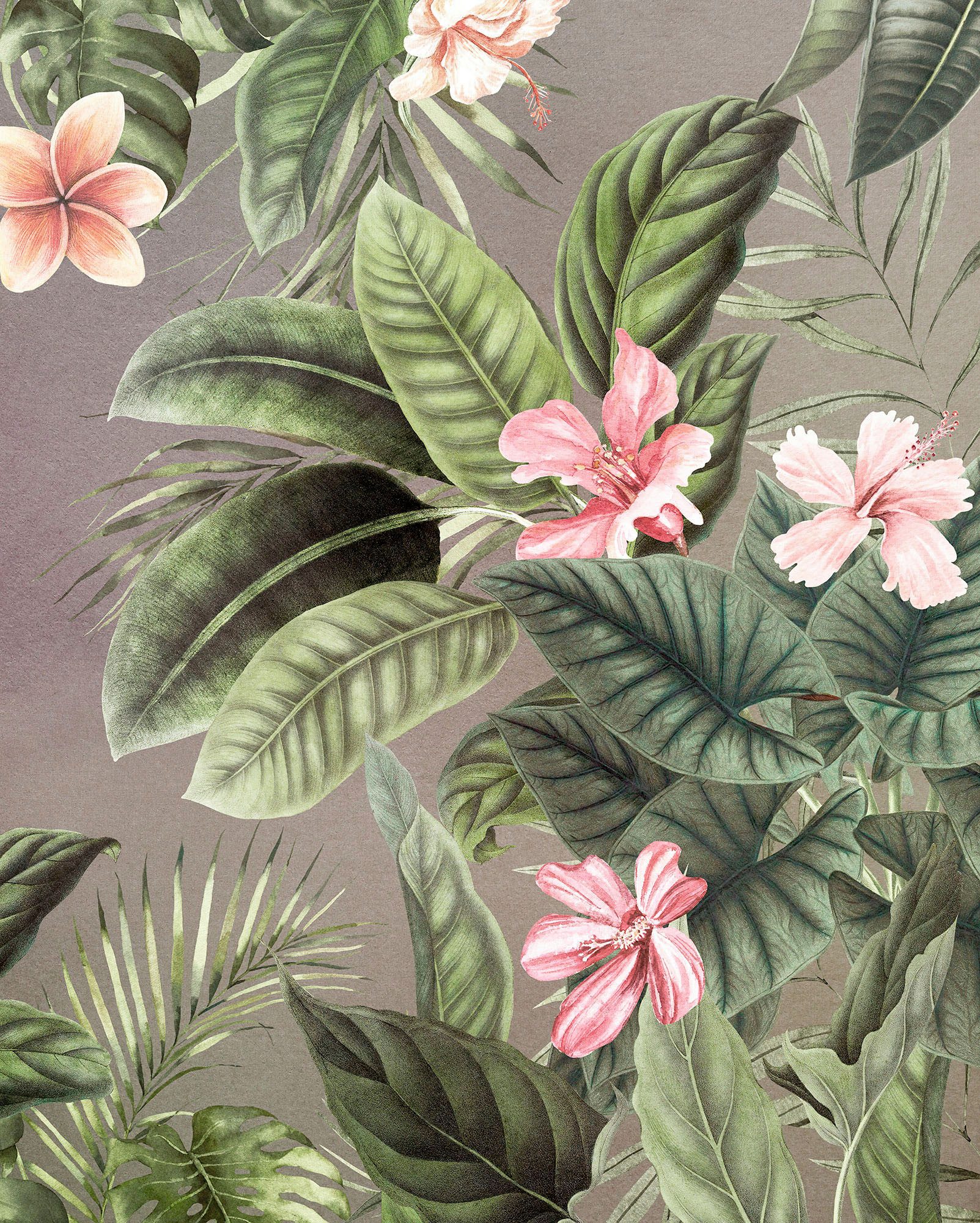 Komar Fotobehang Digitale print vlies - Large Bloomed - Afmeting 200 x 250 cm (1 stuk)
