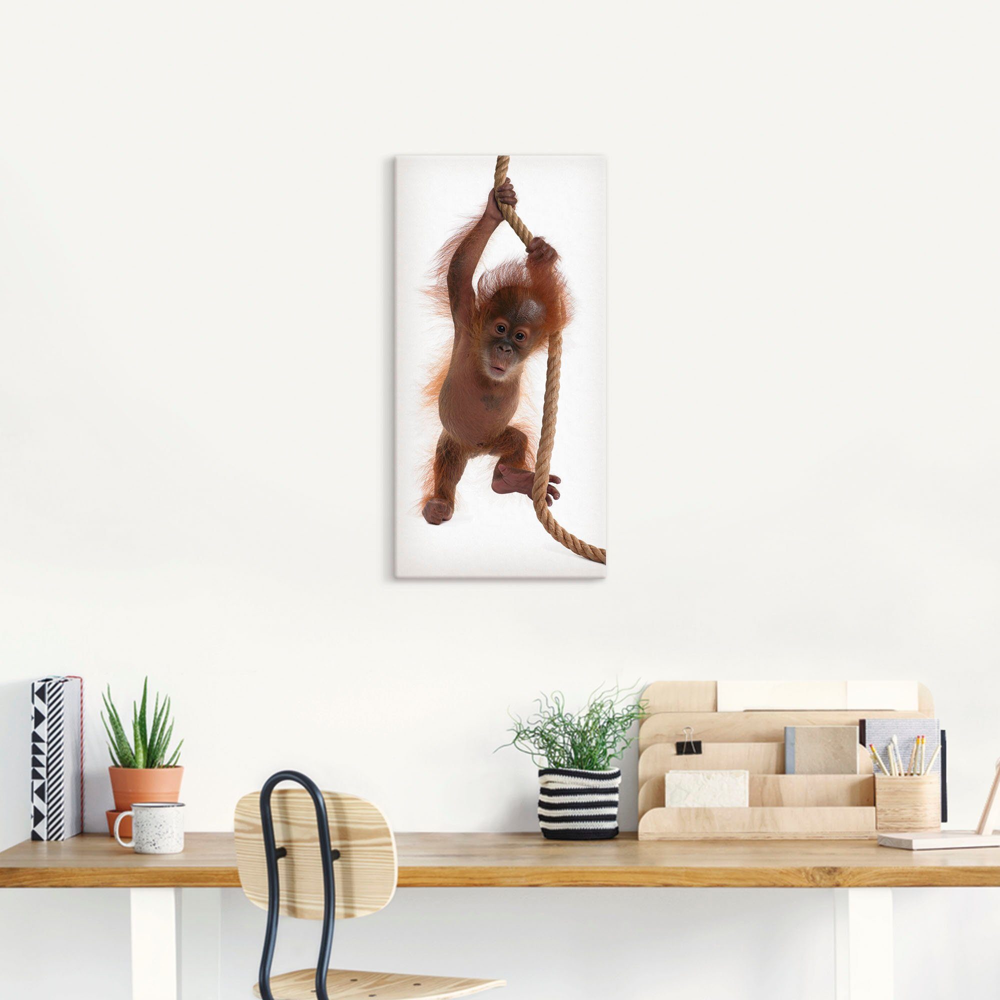 Artland Artprint Baby orang oetan hangt aan het touw I als artprint van aluminium, artprint op linnen, muursticker of poster in verschillende maten
