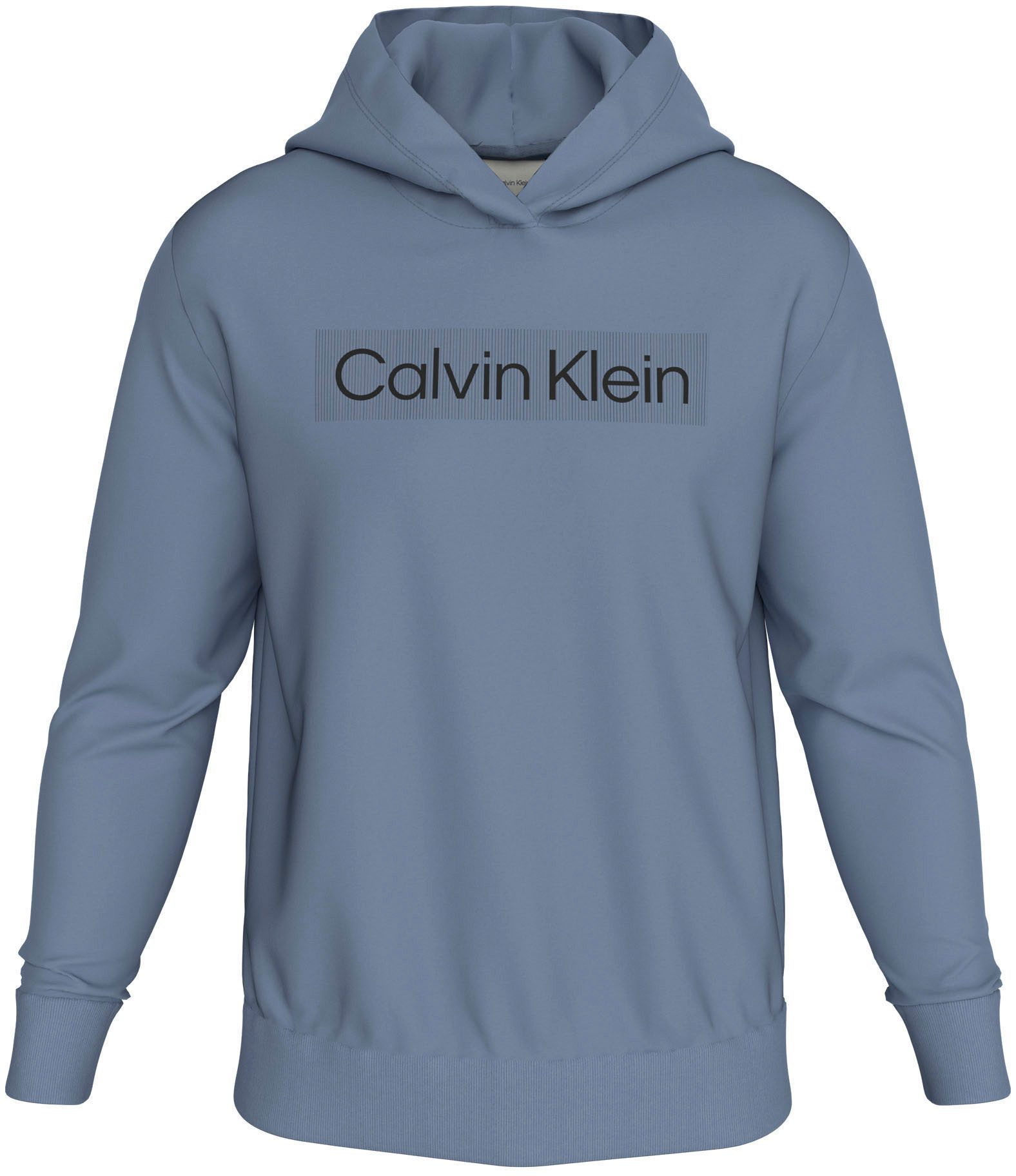 Calvin Klein Hoodie BOX STRIPED LOGO HOODIE