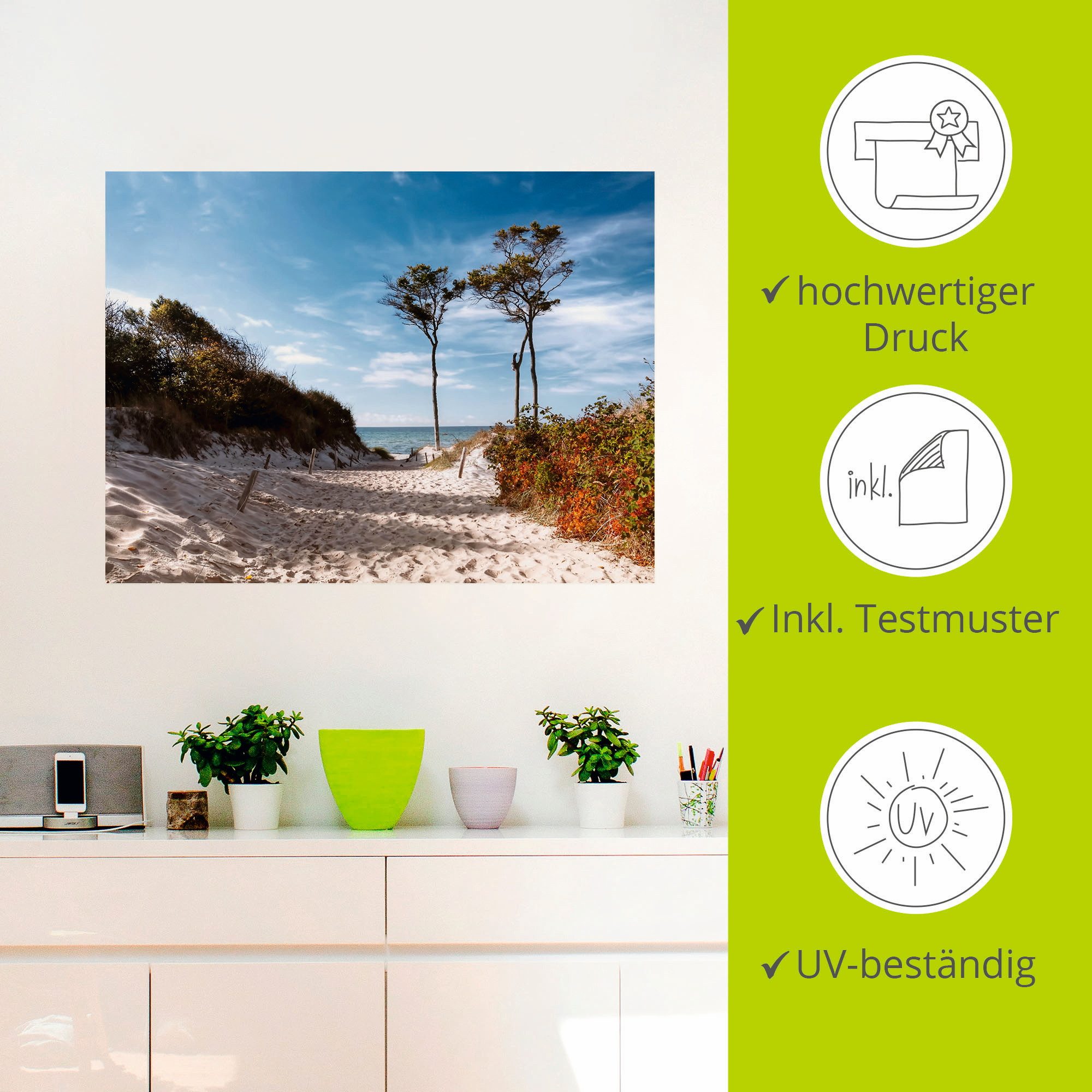 Artland Artprint Weststrand Darss als artprint op linnen, poster, muursticker in verschillende maten